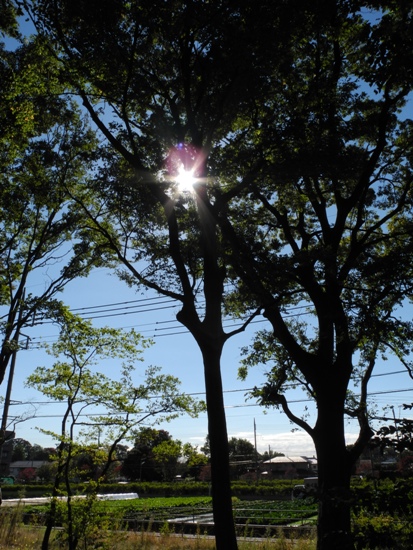 20121102.jpg