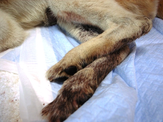 20121119-30.jpg