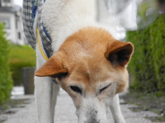 20121201-43.jpg
