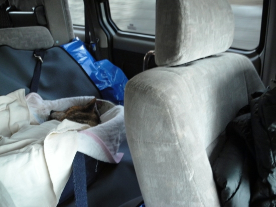 20121210-46.jpg