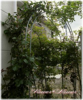 20120523g-----.jpg
