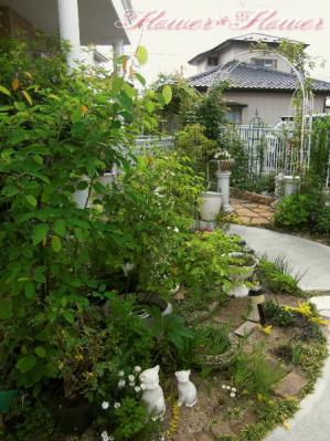 20120523g----.jpg