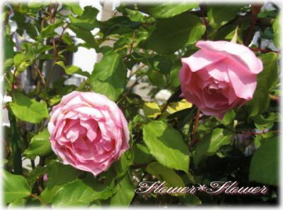 20120531------.jpg