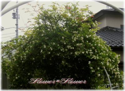 20120531----.jpg