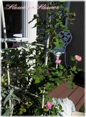20120531--.jpg