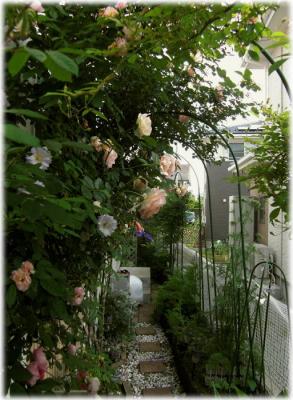 20120607----.jpg