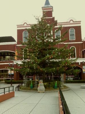 20121202.jpg