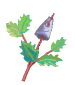 030302.png