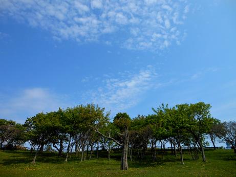 岬15