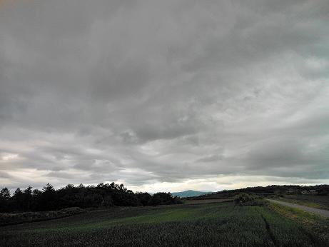 伊達5