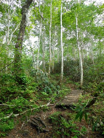 遭難14