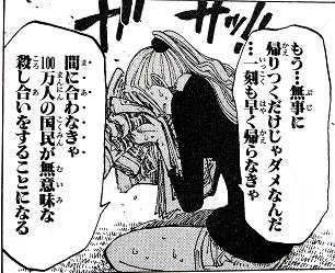 ワンピ12