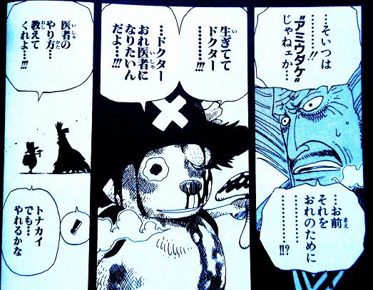 ヒルルク79