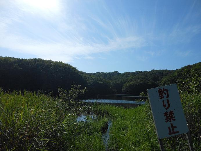 たる4