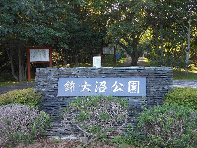 たる1