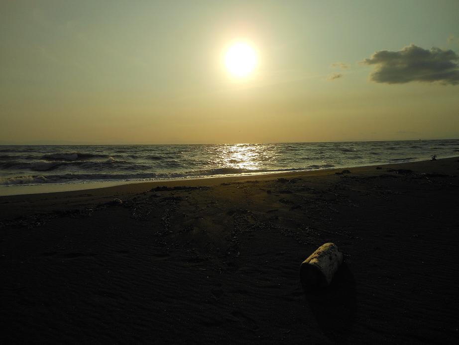 海6
