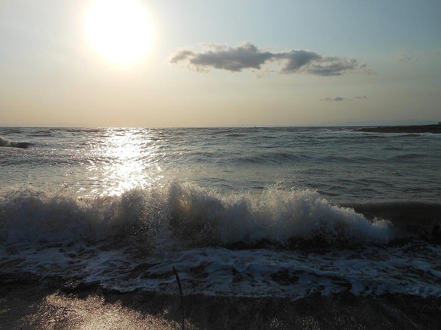 海2