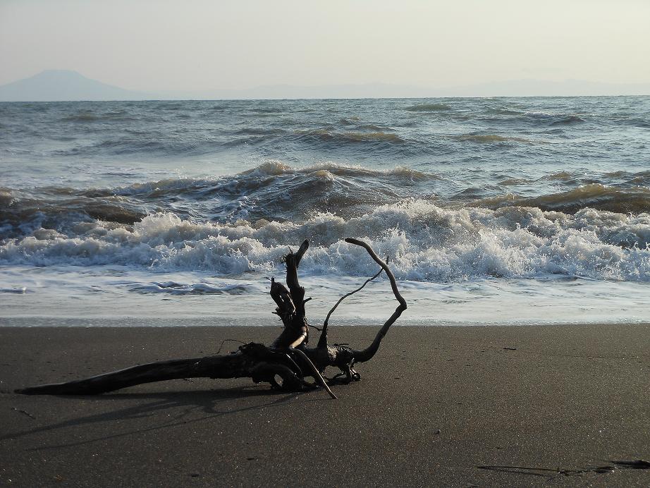 海1