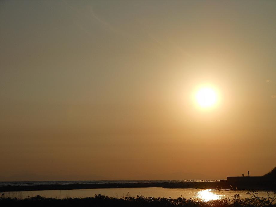 海11