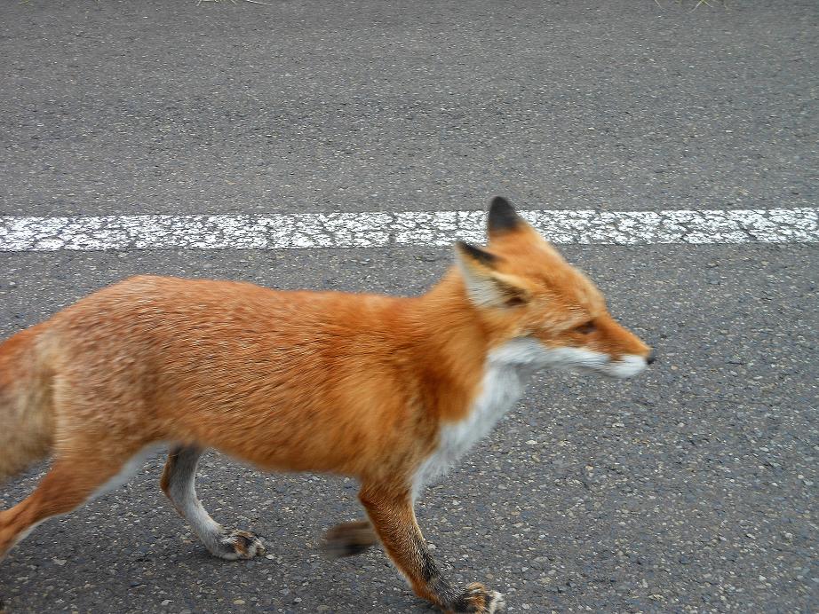 秋5