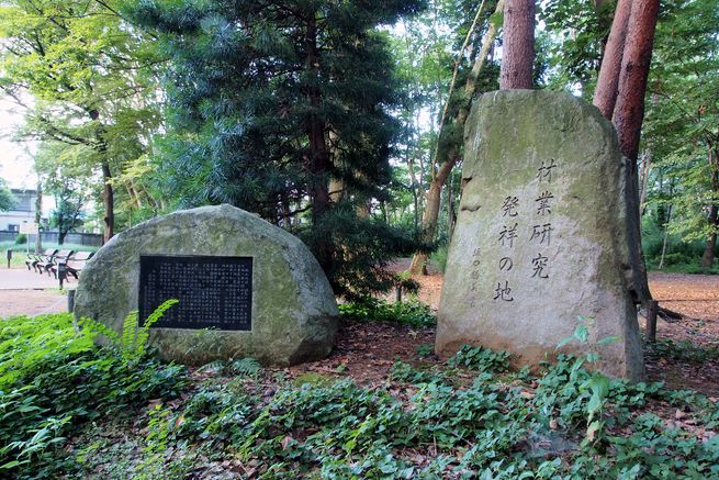 林試-2
