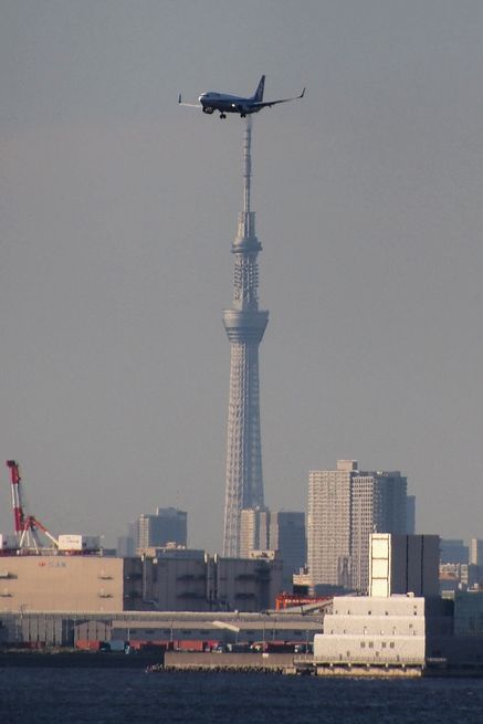 羽田-18