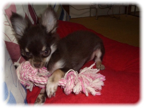 _2011年12月阿蘇 008