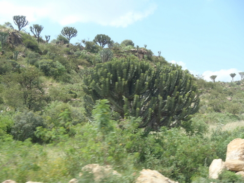 6-P9260066.jpg