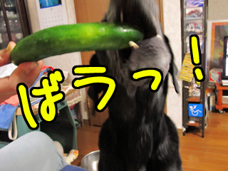 120818_02.jpg