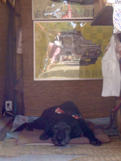 121007_02.jpg
