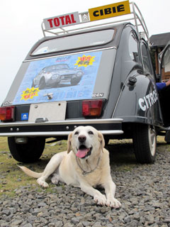 121112_01.jpg