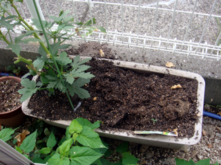 20120831_02.jpg