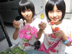 IMG_3973.jpg