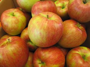 IMG_5774.jpg