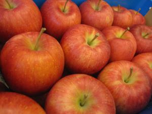 IMG_5848.jpg