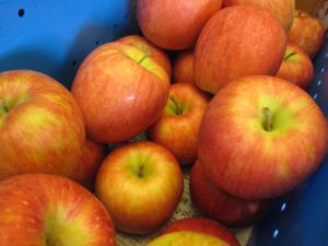 IMG_5871.jpg