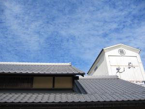 IMG_5875.jpg