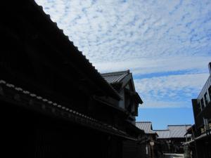 IMG_5876.jpg