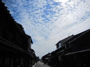 IMG_5877.jpg