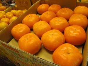 IMG_6261.jpg