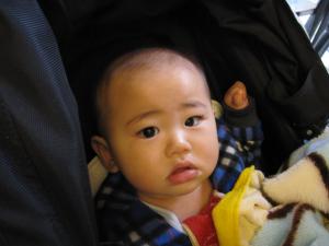 IMG_6350.jpg