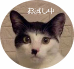 yuのコピー