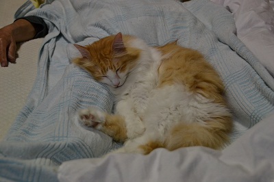 DSC_1933.jpg