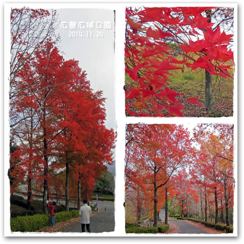 広域公園24
