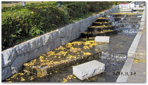 2014113d.jpg