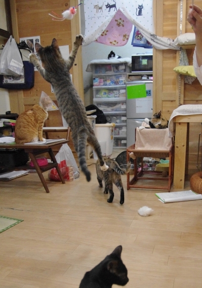 K52_0532.jpg