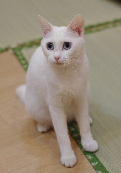 K52_6901.jpg
