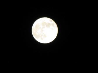 IMG_0648-ss.jpg
