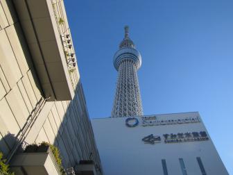 IMG_0863ss.jpg