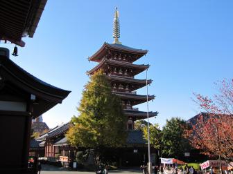 IMG_0881ss.jpg